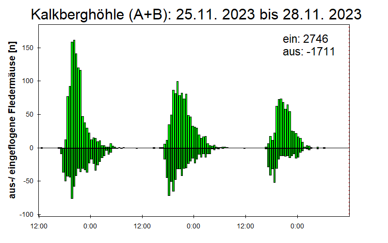[Fledermaus] Lichtschranke: Segeberger Kalkberg (NABU Schleswig-Holstein)