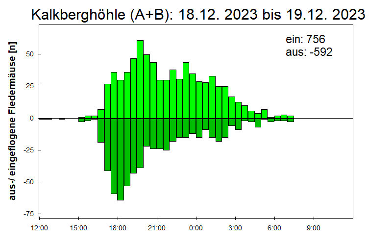 [Fledermaus] Lichtschranke: Segeberger Kalkberg (NABU Schleswig-Holstein)