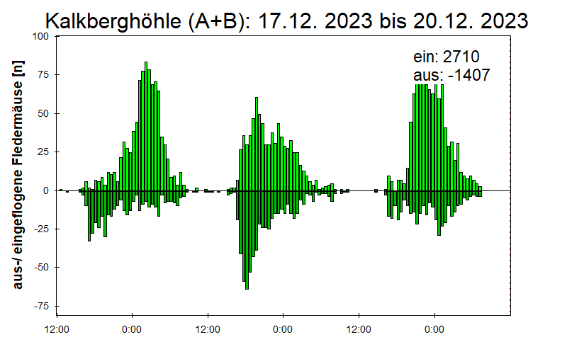 [Fledermaus] Lichtschranke: Segeberger Kalkberg (NABU Schleswig-Holstein)