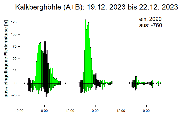 [Fledermaus] Lichtschranke: Segeberger Kalkberg (NABU Schleswig-Holstein)
