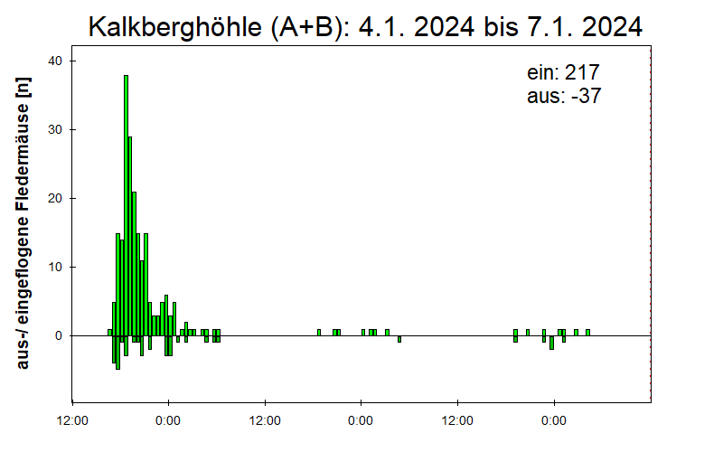 [Fledermaus] Lichtschranke: Segeberger Kalkberg (NABU Schleswig-Holstein)