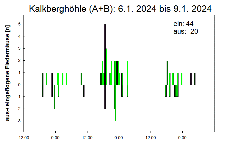 [Fledermaus] Lichtschranke: Segeberger Kalkberg (NABU Schleswig-Holstein)