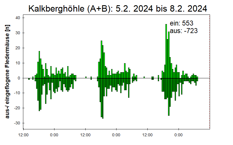 [Fledermaus] Lichtschranke: Segeberger Kalkberg (NABU Schleswig-Holstein)