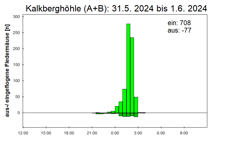 [Fledermaus] Lichtschranke: Segeberger Kalkberg (NABU Schleswig-Holstein)