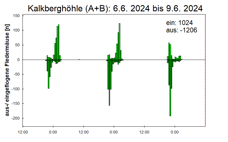 [Fledermaus] Lichtschranke: Segeberger Kalkberg (NABU Schleswig-Holstein)