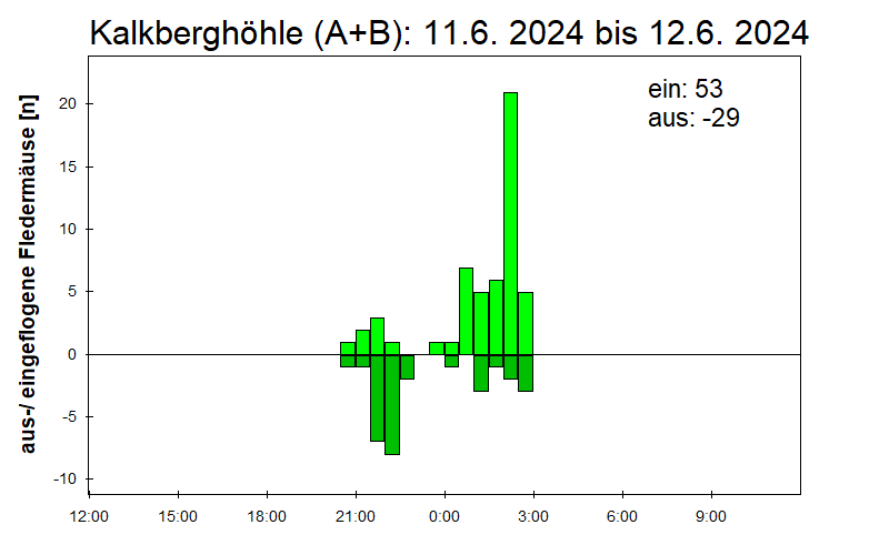 [Fledermaus] Lichtschranke: Segeberger Kalkberg (NABU Schleswig-Holstein)