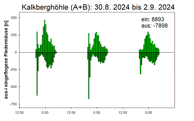 [Fledermaus] Lichtschranke: Segeberger Kalkberg (NABU Schleswig-Holstein)