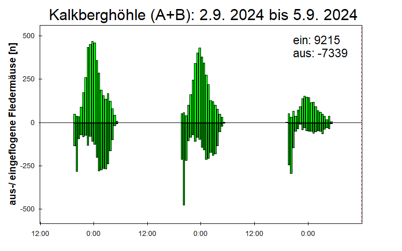 [Fledermaus] Lichtschranke: Segeberger Kalkberg (NABU Schleswig-Holstein)