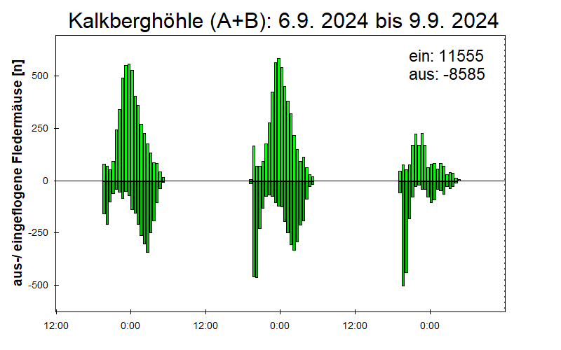[Fledermaus] Lichtschranke: Segeberger Kalkberg (NABU Schleswig-Holstein)