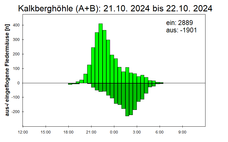 [Fledermaus] Lichtschranke: Segeberger Kalkberg (NABU Schleswig-Holstein)