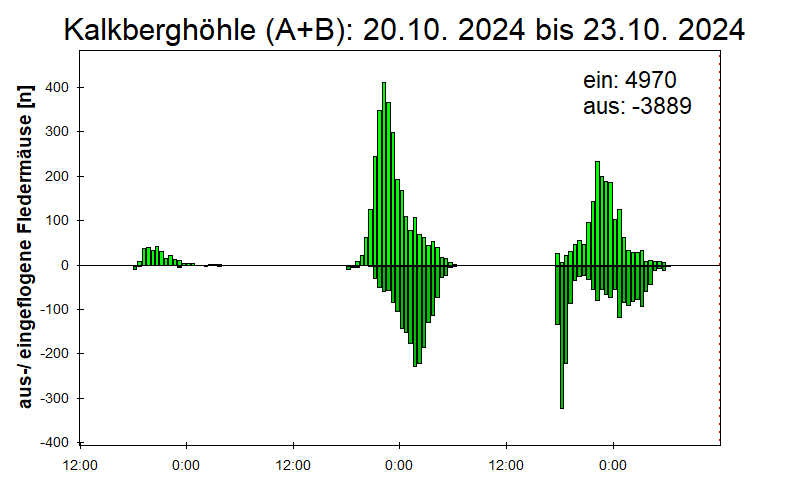 [Fledermaus] Lichtschranke: Segeberger Kalkberg (NABU Schleswig-Holstein)