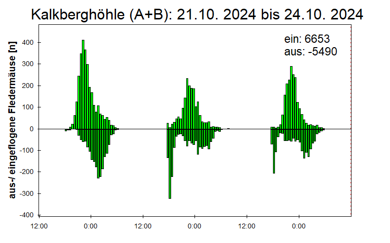 [Fledermaus] Lichtschranke: Segeberger Kalkberg (NABU Schleswig-Holstein)