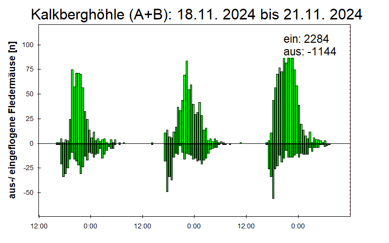 [Fledermaus] Lichtschranke: Segeberger Kalkberg (NABU Schleswig-Holstein)
