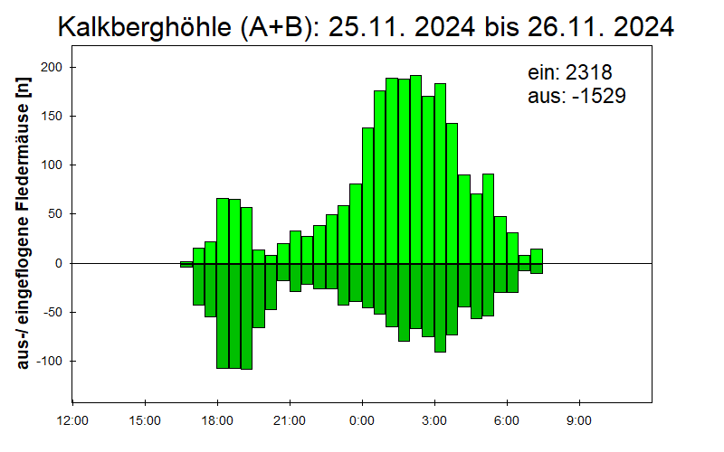 [Fledermaus] Lichtschranke: Segeberger Kalkberg (NABU Schleswig-Holstein)