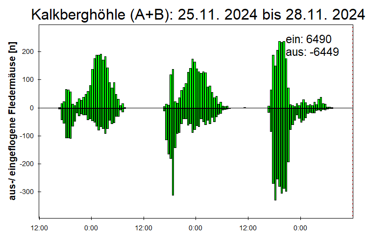 [Fledermaus] Lichtschranke: Segeberger Kalkberg (NABU Schleswig-Holstein)