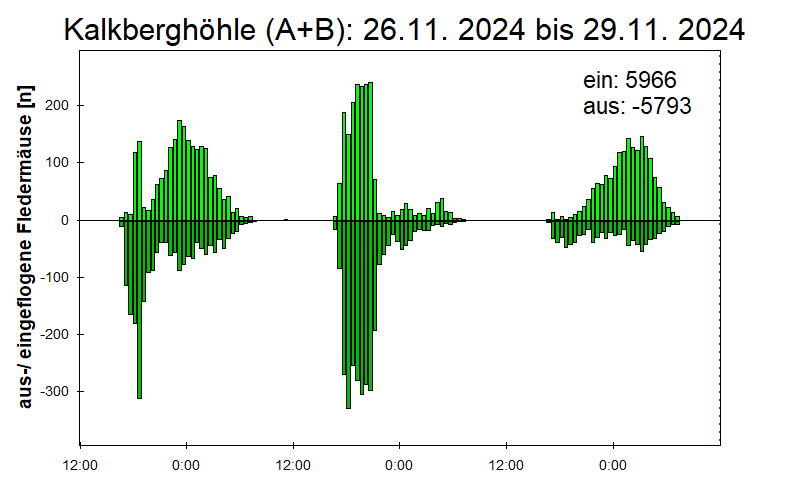 [Fledermaus] Lichtschranke: Segeberger Kalkberg (NABU Schleswig-Holstein)