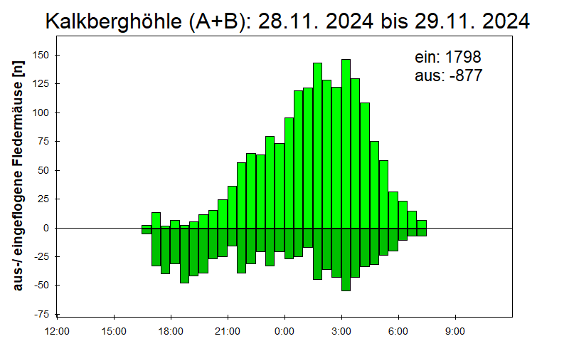 [Fledermaus] Lichtschranke: Segeberger Kalkberg (NABU Schleswig-Holstein)