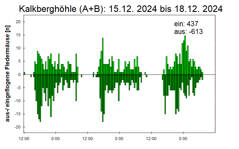 [Fledermaus] Lichtschranke: Segeberger Kalkberg (NABU Schleswig-Holstein)