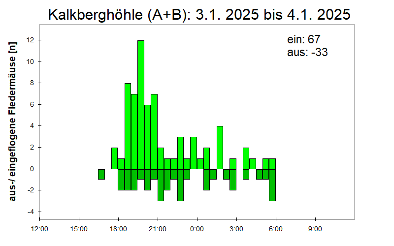 [Fledermaus] Lichtschranke: Segeberger Kalkberg (NABU Schleswig-Holstein)