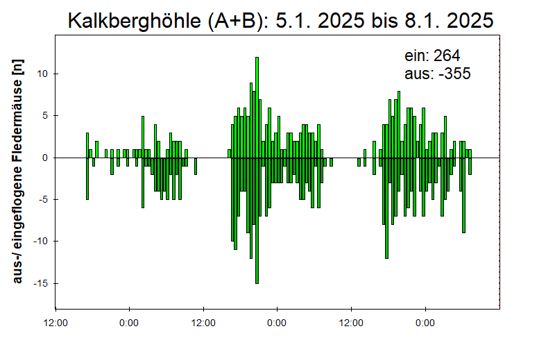 [Fledermaus] Lichtschranke: Segeberger Kalkberg (NABU Schleswig-Holstein)