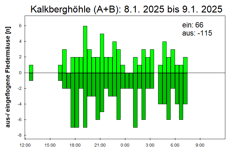 [Fledermaus] Lichtschranke: Segeberger Kalkberg (NABU Schleswig-Holstein)