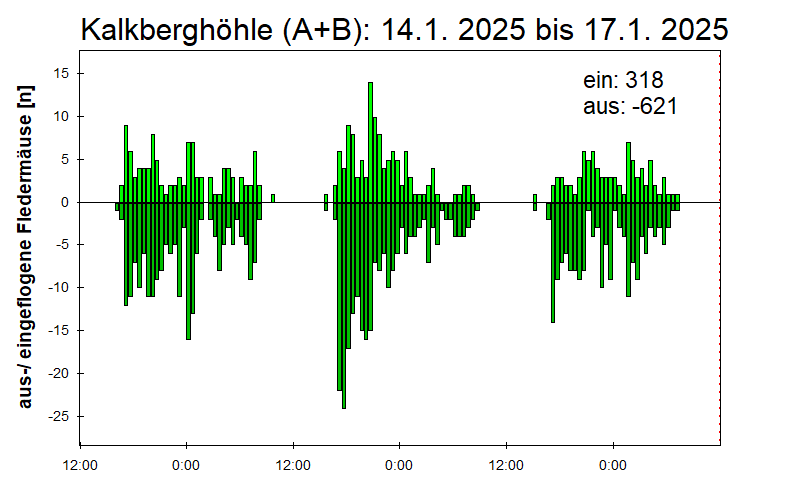 [Fledermaus] Lichtschranke: Segeberger Kalkberg (NABU Schleswig-Holstein)