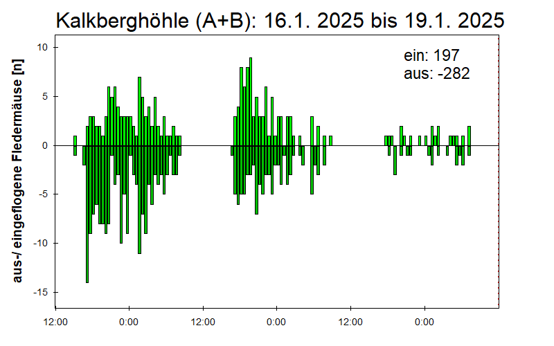 [Fledermaus] Lichtschranke: Segeberger Kalkberg (NABU Schleswig-Holstein)