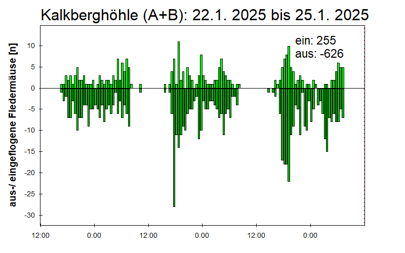 [Fledermaus] Lichtschranke: Segeberger Kalkberg (NABU Schleswig-Holstein)
