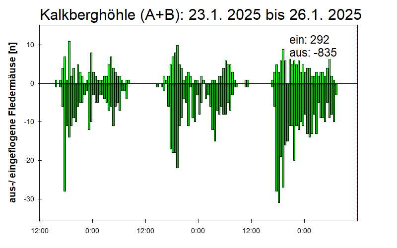 [Fledermaus] Lichtschranke: Segeberger Kalkberg (NABU Schleswig-Holstein)