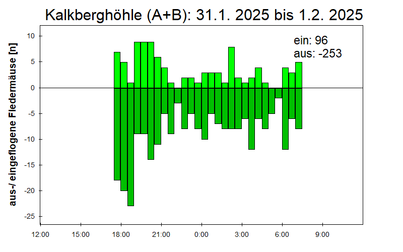 [Fledermaus] Lichtschranke: Segeberger Kalkberg (NABU Schleswig-Holstein)
