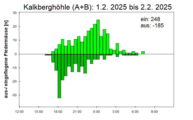 [Fledermaus] Lichtschranke: Segeberger Kalkberg (NABU Schleswig-Holstein)