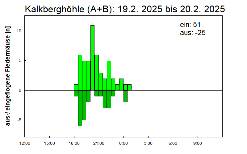 [Fledermaus] Lichtschranke: Segeberger Kalkberg (NABU Schleswig-Holstein)