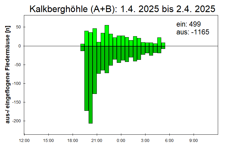 [Fledermaus] Lichtschranke: Segeberger Kalkberg (NABU Schleswig-Holstein)