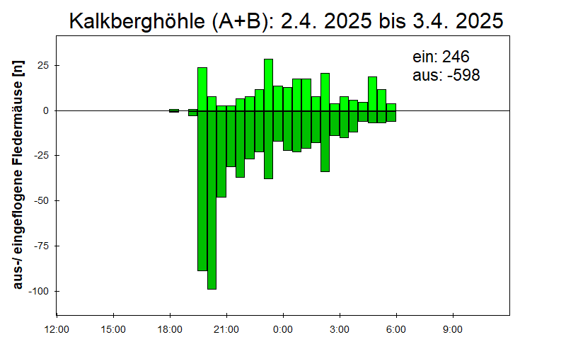 [Fledermaus] Lichtschranke: Segeberger Kalkberg (NABU Schleswig-Holstein)