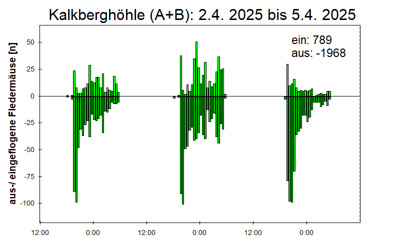 [Fledermaus] Lichtschranke: Segeberger Kalkberg (NABU Schleswig-Holstein)