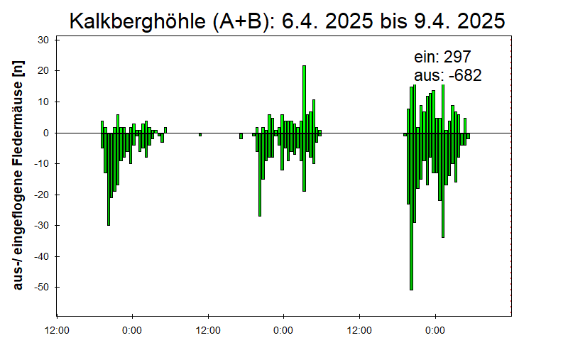 [Fledermaus] Lichtschranke: Segeberger Kalkberg (NABU Schleswig-Holstein)