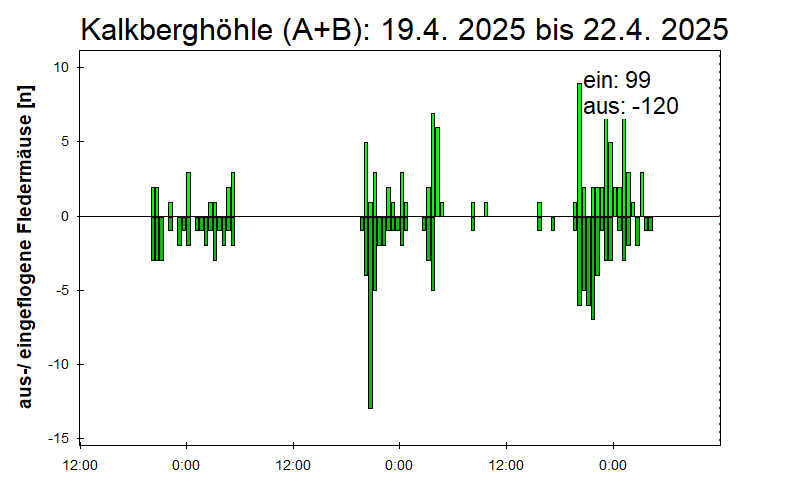 [Fledermaus] Lichtschranke: Segeberger Kalkberg (NABU Schleswig-Holstein)