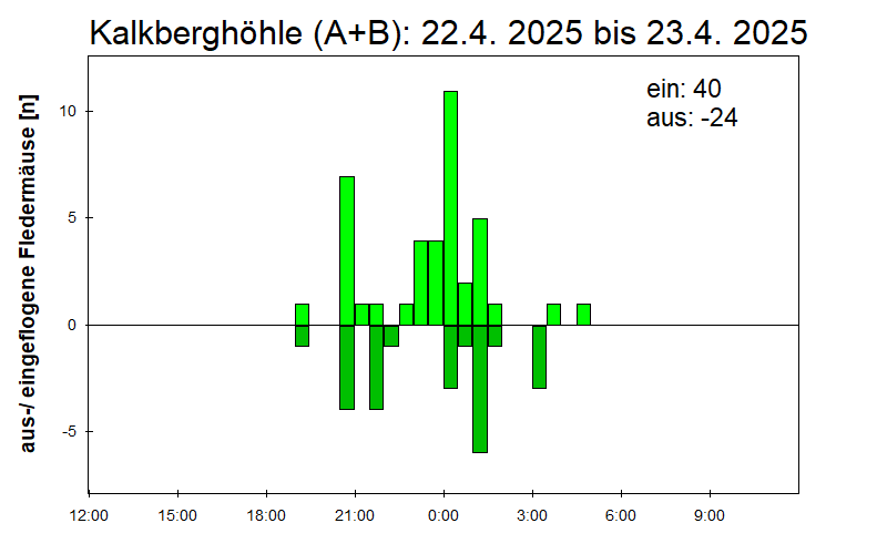[Fledermaus] Lichtschranke: Segeberger Kalkberg (NABU Schleswig-Holstein)