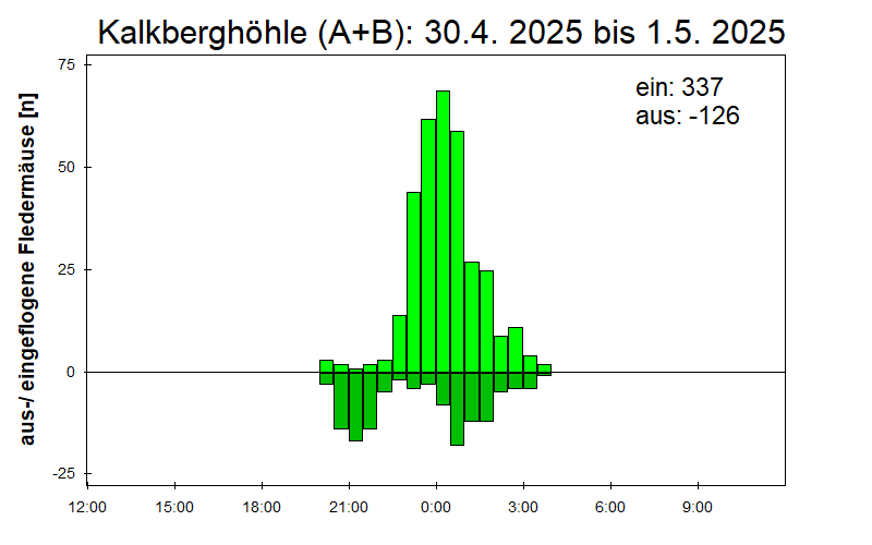 [Fledermaus] Lichtschranke: Segeberger Kalkberg (NABU Schleswig-Holstein)