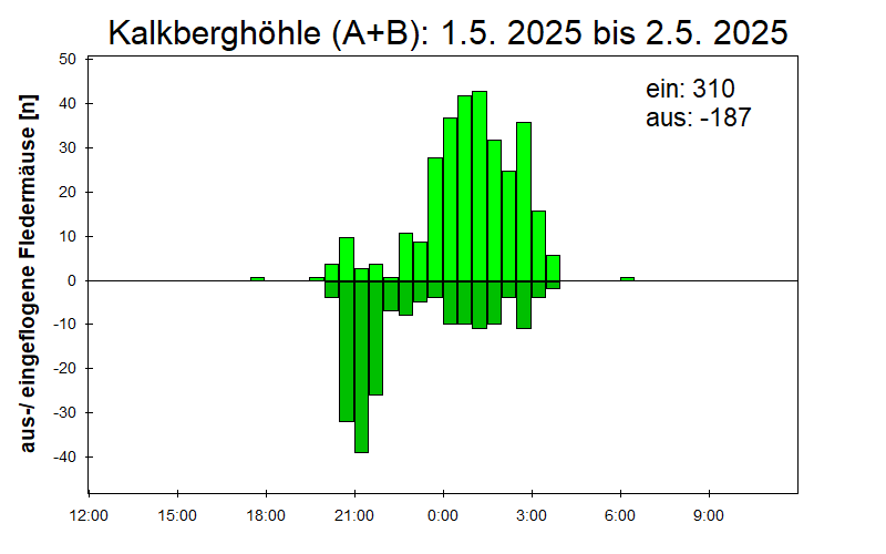 [Fledermaus] Lichtschranke: Segeberger Kalkberg (NABU Schleswig-Holstein)