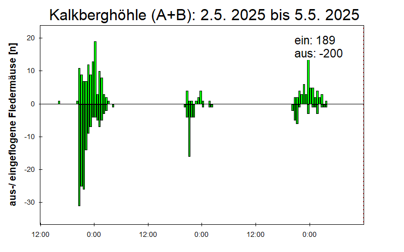 [Fledermaus] Lichtschranke: Segeberger Kalkberg (NABU Schleswig-Holstein)