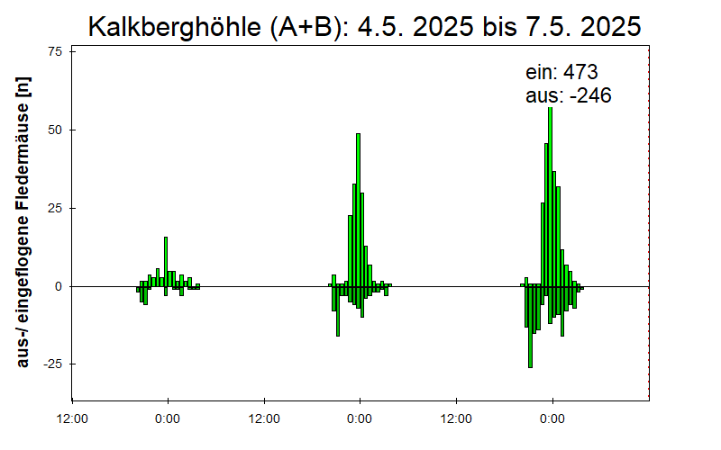 [Fledermaus] Lichtschranke: Segeberger Kalkberg (NABU Schleswig-Holstein)