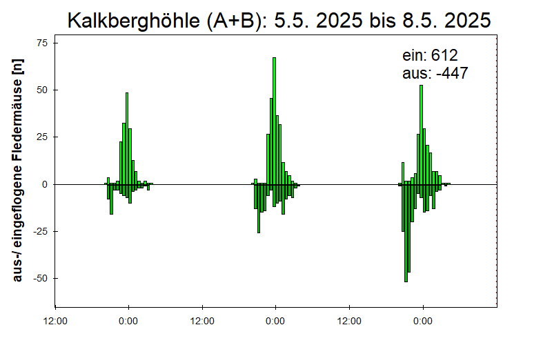 [Fledermaus] Lichtschranke: Segeberger Kalkberg (NABU Schleswig-Holstein)
