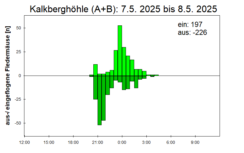 [Fledermaus] Lichtschranke: Segeberger Kalkberg (NABU Schleswig-Holstein)