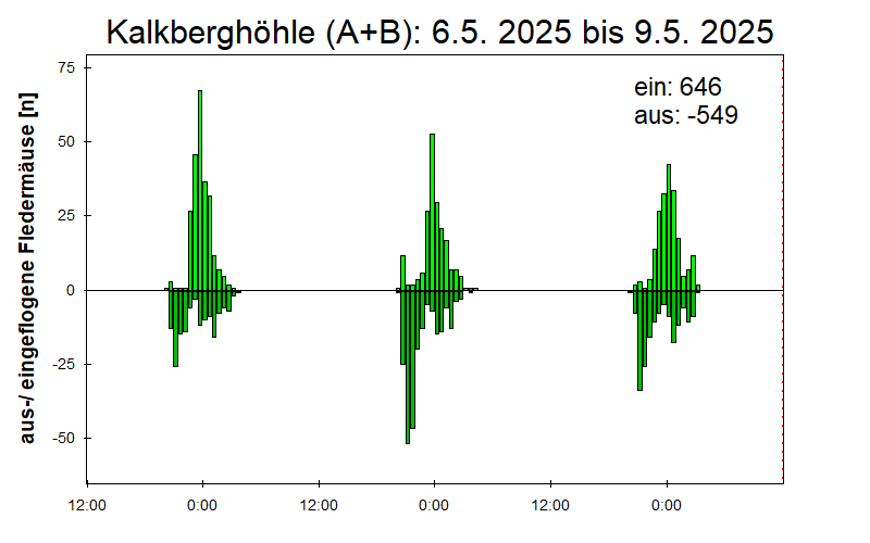 [Fledermaus] Lichtschranke: Segeberger Kalkberg (NABU Schleswig-Holstein)