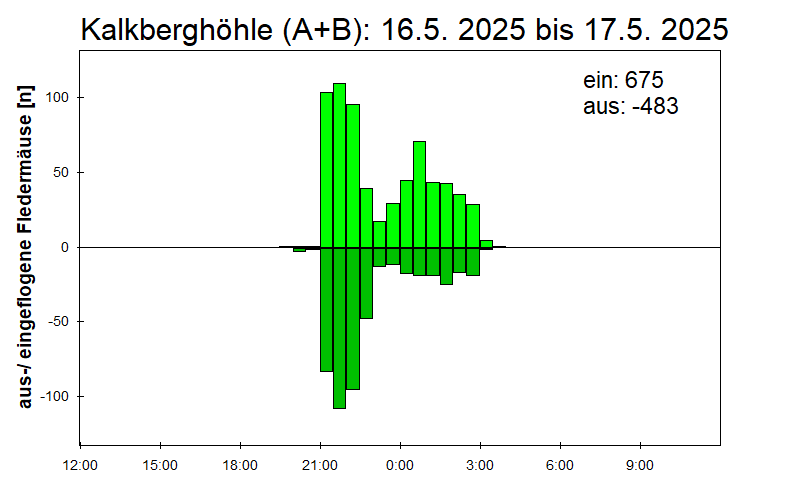 [Fledermaus] Lichtschranke: Segeberger Kalkberg (NABU Schleswig-Holstein)