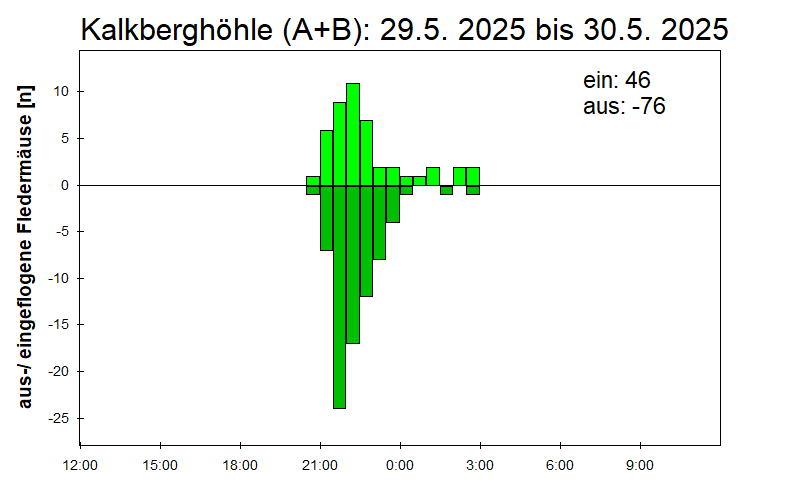 [Fledermaus] Lichtschranke: Segeberger Kalkberg (NABU Schleswig-Holstein)