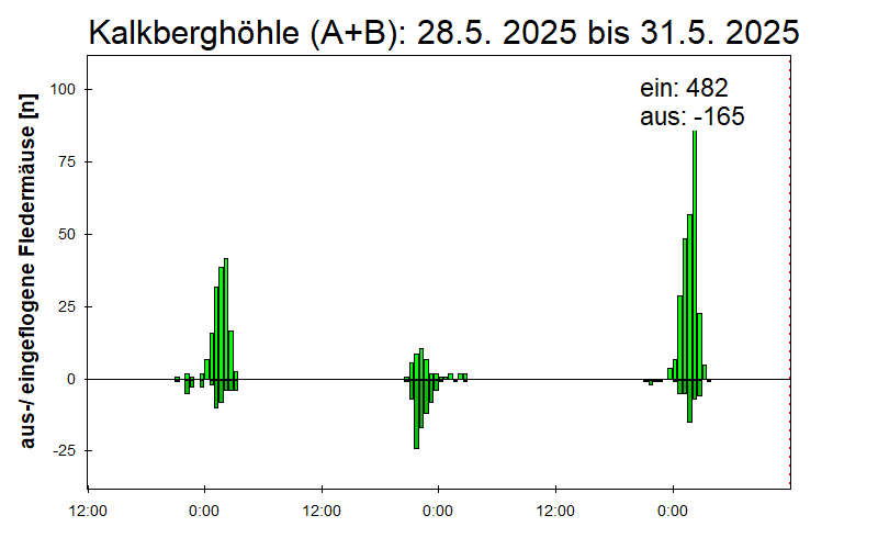 [Fledermaus] Lichtschranke: Segeberger Kalkberg (NABU Schleswig-Holstein)