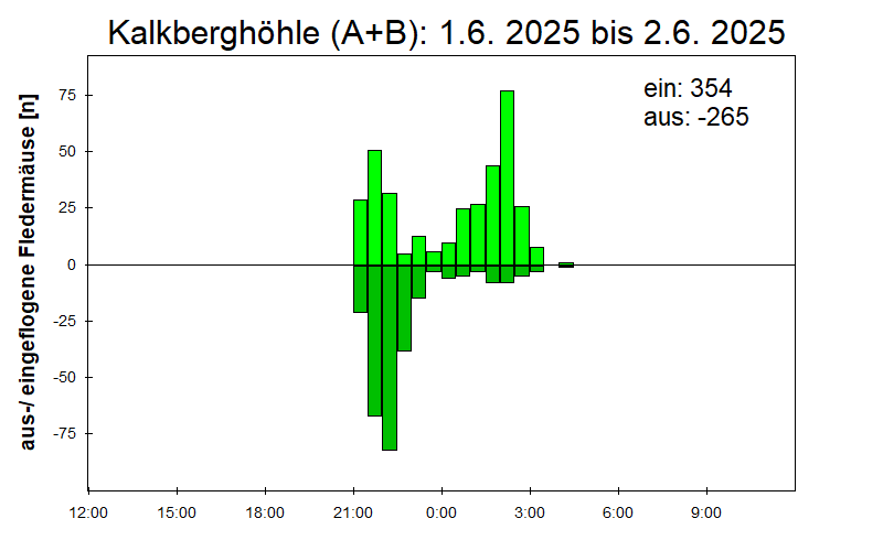 [Fledermaus] Lichtschranke: Segeberger Kalkberg (NABU Schleswig-Holstein)