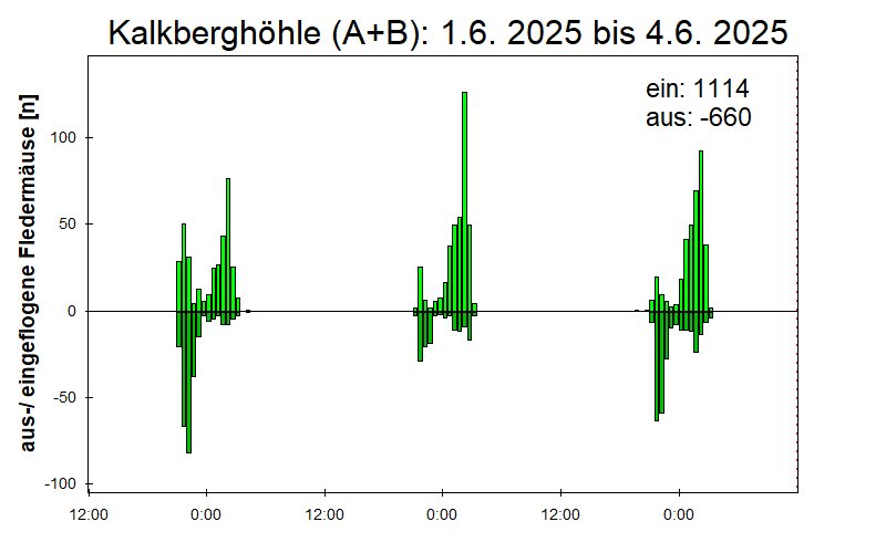 [Fledermaus] Lichtschranke: Segeberger Kalkberg (NABU Schleswig-Holstein)